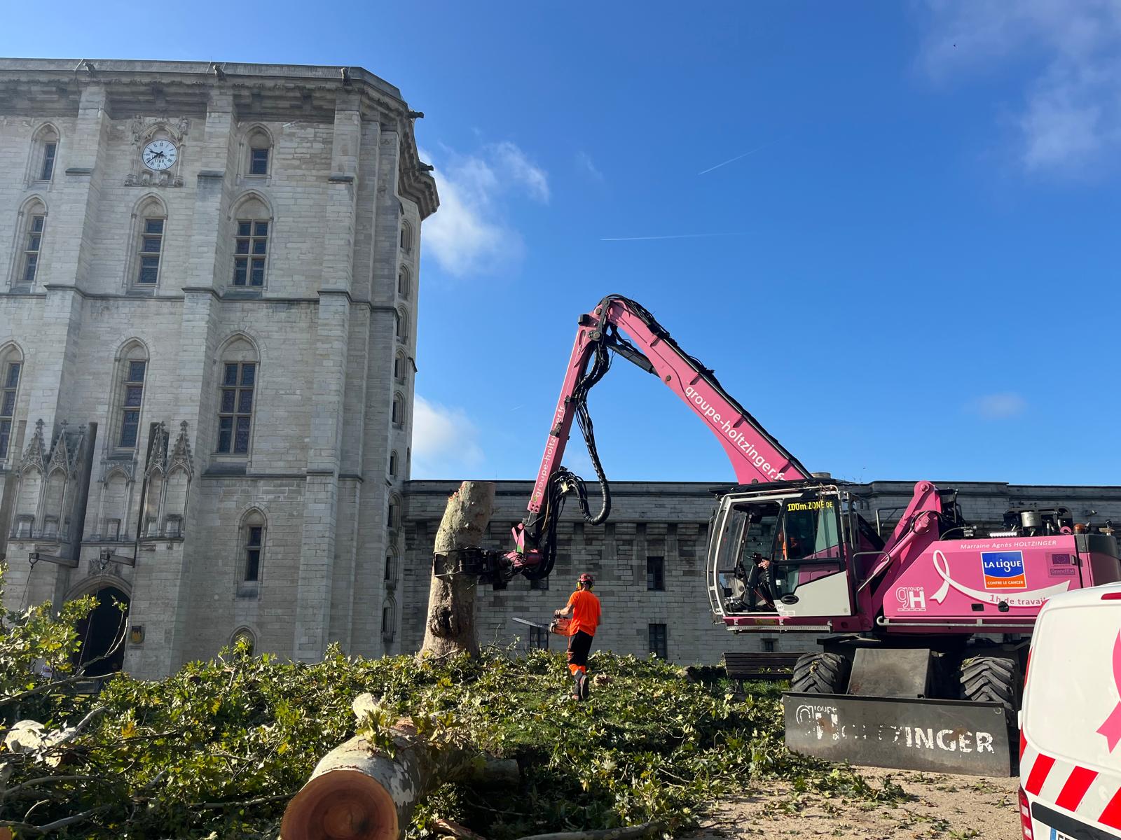 Lire la suite à propos de l’article Arbres du Château de Vincennes : l’arnaque écologique de la replantation